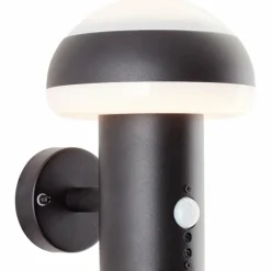 Applique murale d'extérieur Brilliant Ilton LED Noir, 1 lumière, Détecteur de mouvement