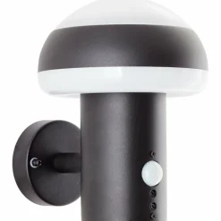 Applique murale d'extérieur Brilliant Ilton LED Noir, 1 lumière, Détecteur de mouvement