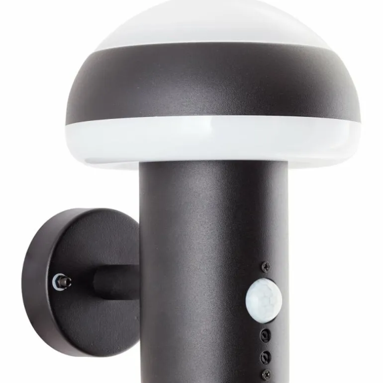 Applique murale d'extérieur Brilliant Ilton LED Noir, 1 lumière, Détecteur de mouvement