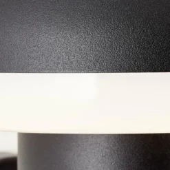 Applique murale d'extérieur Brilliant Ilton LED Noir, 1 lumière, Détecteur de mouvement