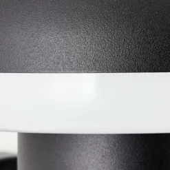 Applique murale d'extérieur Brilliant Ilton LED Noir, 1 lumière, Détecteur de mouvement