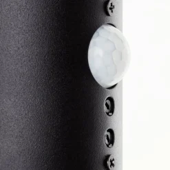 Applique murale d'extérieur Brilliant Ilton LED Noir, 1 lumière, Détecteur de mouvement