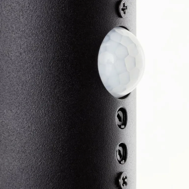 Applique murale d'extérieur Brilliant Ilton LED Noir, 1 lumière, Détecteur de mouvement