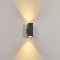 Applique murale d'extérieur Oatlands Anthracite, Blanc, 2 lumières