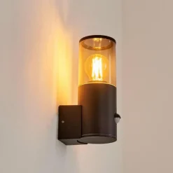 Applique murale d'extérieur Caragua Anthracite, 1 lumière, Détecteur de mouvement