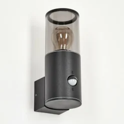 Applique murale d'extérieur Caragua Anthracite, 1 lumière, Détecteur de mouvement