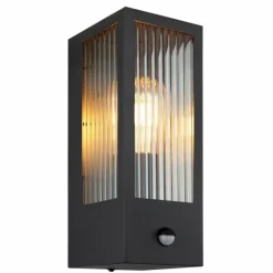 Applique murale d'extérieur Globo GUNDULA Noir, 1 lumière, Détecteur de mouvement