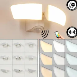 Applique murale d'extérieur Carnetin LED Blanc, 2 lumières, Détecteur de mouvement