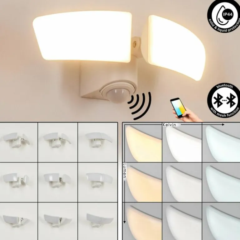 Applique murale d'extérieur Carnetin LED Blanc, 2 lumières, Détecteur de mouvement