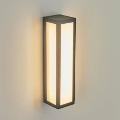 Applique murale d'extérieur Apidou LED Anthracite, 1 lumière