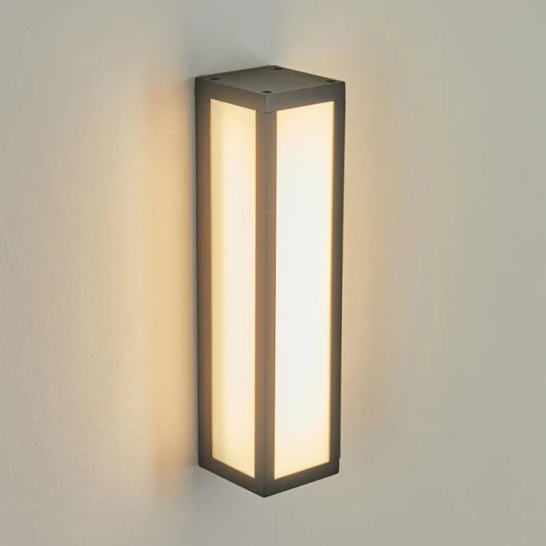 Applique murale d'extérieur Apidou LED Anthracite, 1 lumière