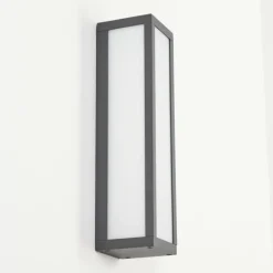 Applique murale d'extérieur Apidou LED Anthracite, 1 lumière