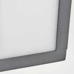 Applique murale d'extérieur Apidou LED Anthracite, 1 lumière