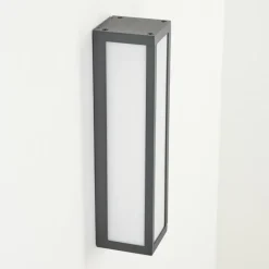 Applique murale d'extérieur Apidou LED Anthracite, 1 lumière