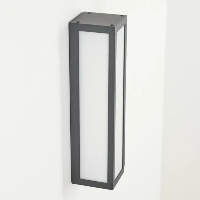 Applique murale d'extérieur Apidou LED Anthracite, 1 lumière