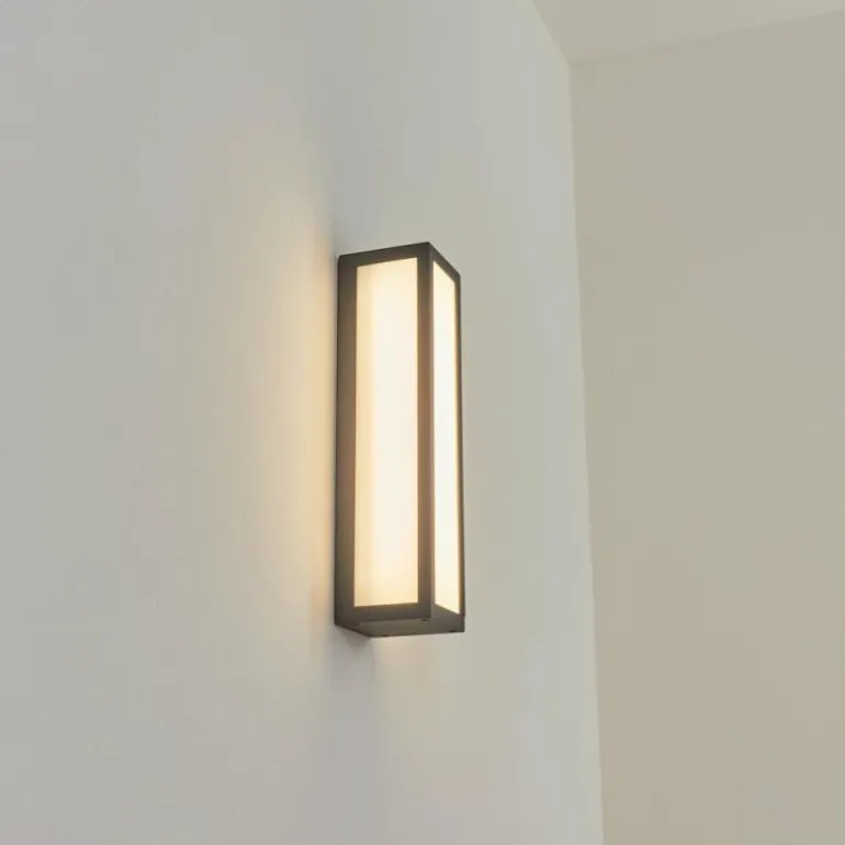 Applique murale d'extérieur Apidou LED Anthracite, 1 lumière