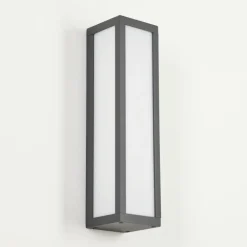 Applique murale d'extérieur Apidou LED Anthracite, 1 lumière