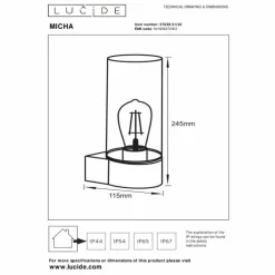 Applique murale d'extérieur Lucide MICHA Noir, 1 lumière