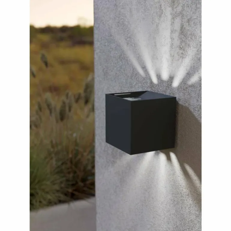 Applique murale d'extérieur Eglo CALPINO 2 LED Anthracite, 2 lumières