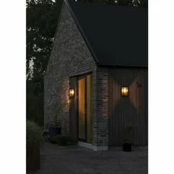 Applique murale d'extérieur Konstsmide Carpi Laiton, Noir, 1 lumière