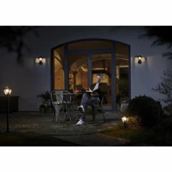 Applique murale d'extérieur LEDVANCE ENDURA® Or, Noir, 1 lumière