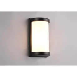 Applique murale d'extérieur Reality Puelo Noir, 1 lumière