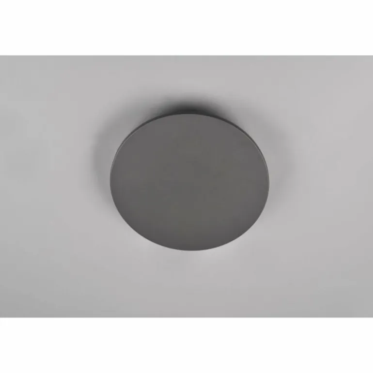 Applique murale d'extérieur Trio Belly LED Anthracite, 1 lumière