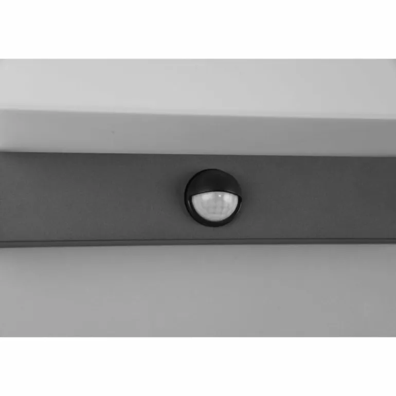 Applique murale d'extérieur Trio Nestos LED Anthracite, 1 lumière, Détecteur de mouvement