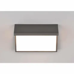 Applique murale d'extérieur Trio Nestos LED Anthracite, 1 lumière, Détecteur de mouvement
