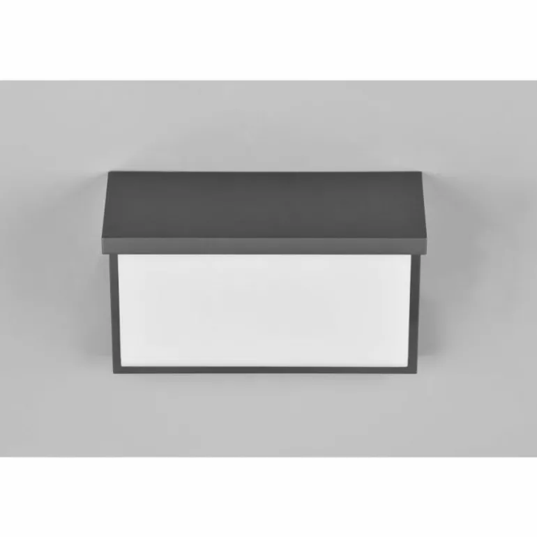 Applique murale d'extérieur Trio Nestos LED Anthracite, 1 lumière, Détecteur de mouvement