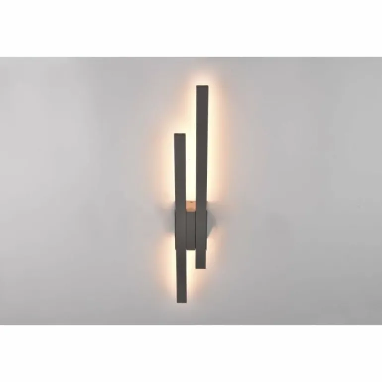 Applique murale d'extérieur Trio Tawa LED Anthracite, 2 lumières