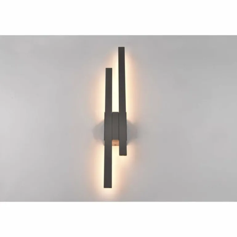 Applique murale d'extérieur Trio Tawa LED Anthracite, 2 lumières
