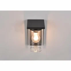 Applique murale d'extérieur Trio Ardila Noir, 1 lumière