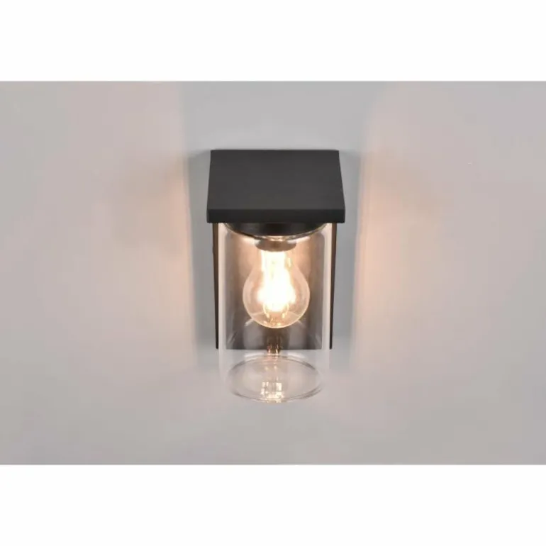 Applique murale d'extérieur Trio Ardila Noir, 1 lumière