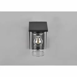 Applique murale d'extérieur Trio Ardila Noir, 1 lumière