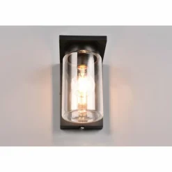 Applique murale d'extérieur Trio Ardila Noir, 1 lumière