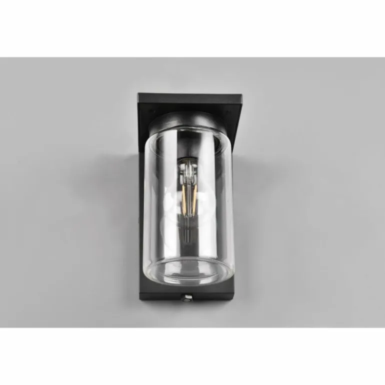 Applique murale d'extérieur Trio Ardila Noir, 1 lumière