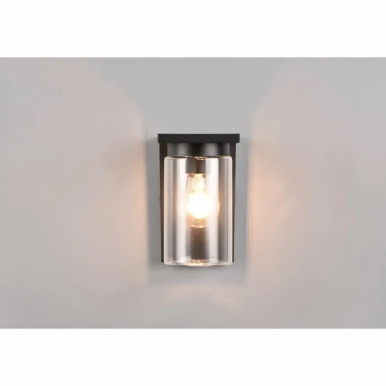 Applique murale d'extérieur Trio Ardila Noir, 1 lumière