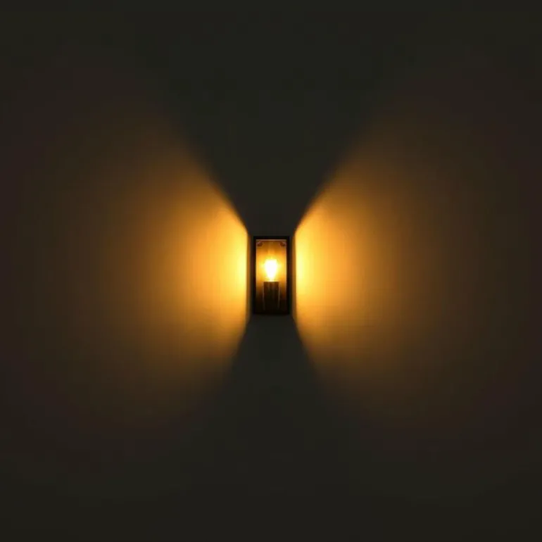 Applique murale d'extérieur Globo GUNDULA Noir, 1 lumière