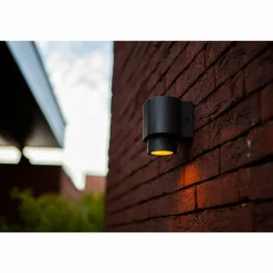 Applique murale d'extérieur Lutec Cypres Anthracite, 1 lumière