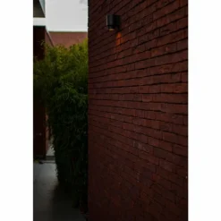 Applique murale d'extérieur Lutec Cypres Anthracite, 1 lumière