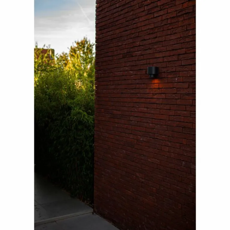 Applique murale d'extérieur Lutec Cypres Anthracite, 1 lumière