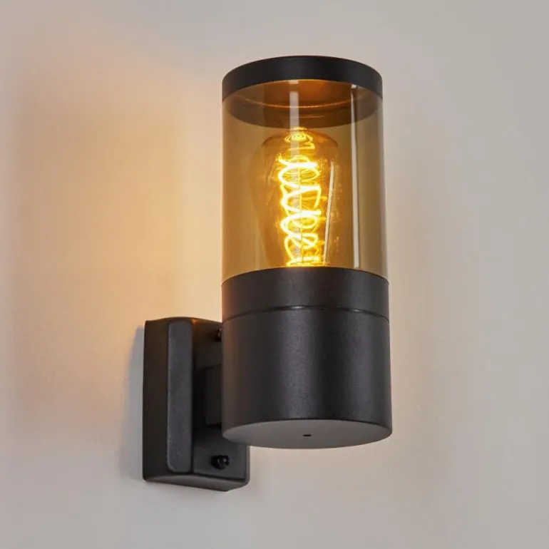 Applique murale d'extérieur Tolsona Noir, 1 lumière