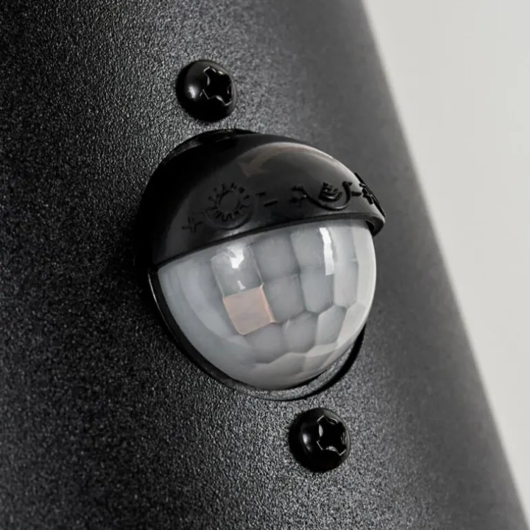 Applique murale d'extérieur Tolsona Noir, 2 lumières, Détecteur de mouvement