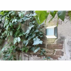 Applique murale d'extérieur Lutec Flyod LED Acier inoxydable, 1 lumière