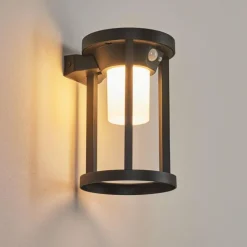 Applique murale d'extérieur Lokpano LED Noir, 1 lumière, Détecteur de mouvement, Changeur de couleurs