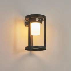 Applique murale d'extérieur Lokpano LED Noir, 1 lumière, Détecteur de mouvement, Changeur de couleurs