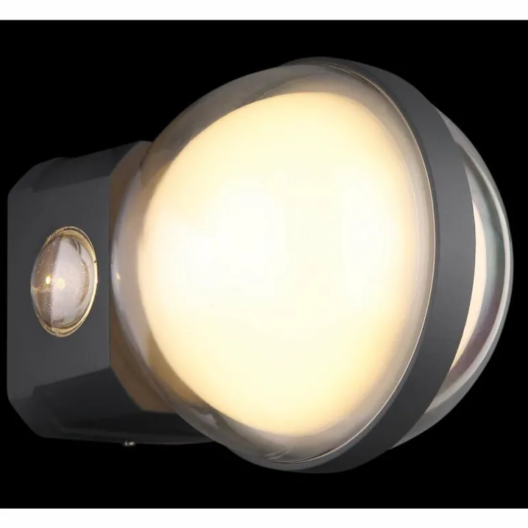 Applique murale d'extérieur Globo ILLI LED Anthracite, 1 lumière