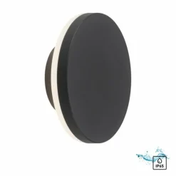 Applique murale d'extérieur Paul Neuhaus PUNTUA LED Anthracite, 1 lumière