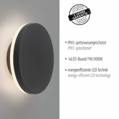 Applique murale d'extérieur Paul Neuhaus PUNTUA LED Anthracite, 1 lumière